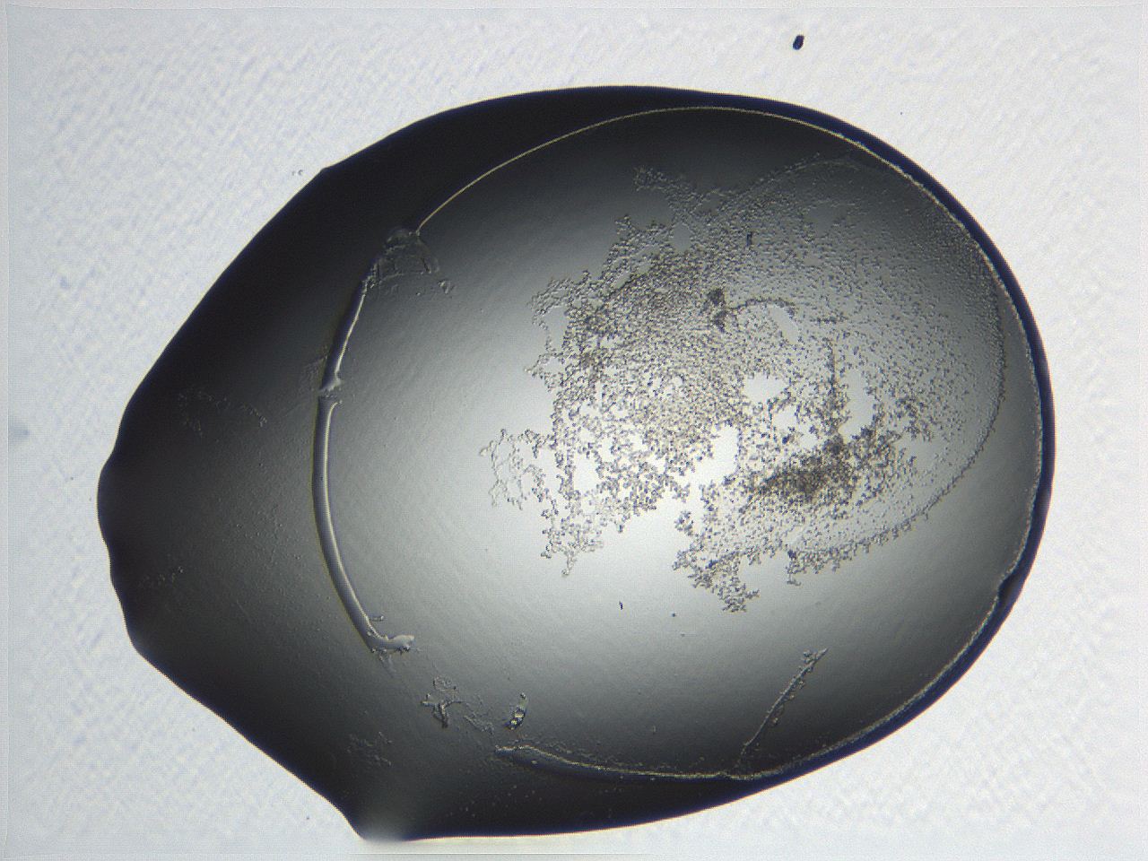 04nr_B10_ImagerDefaults_3.jpg