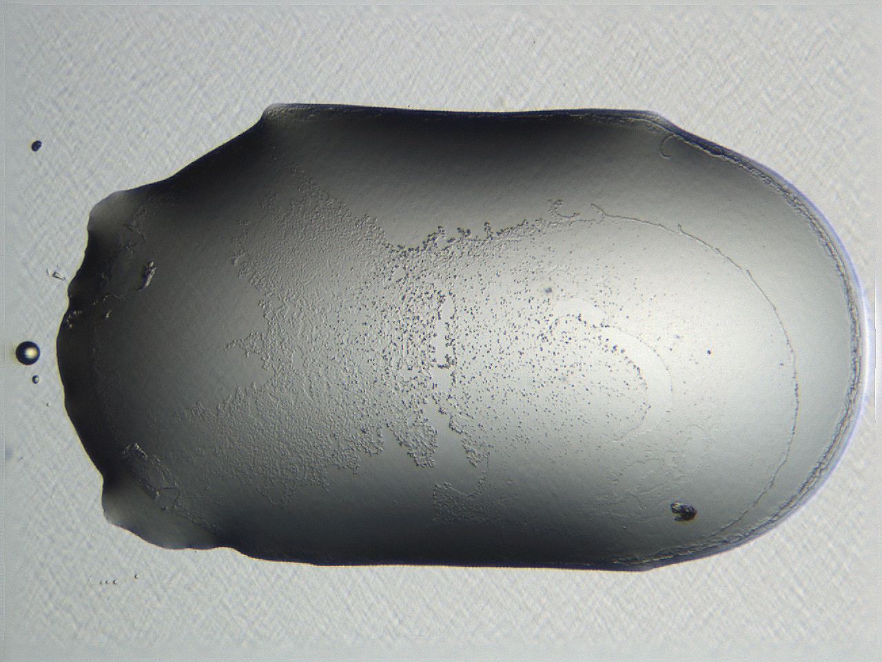 04nr_D10_ImagerDefaults_3.jpg