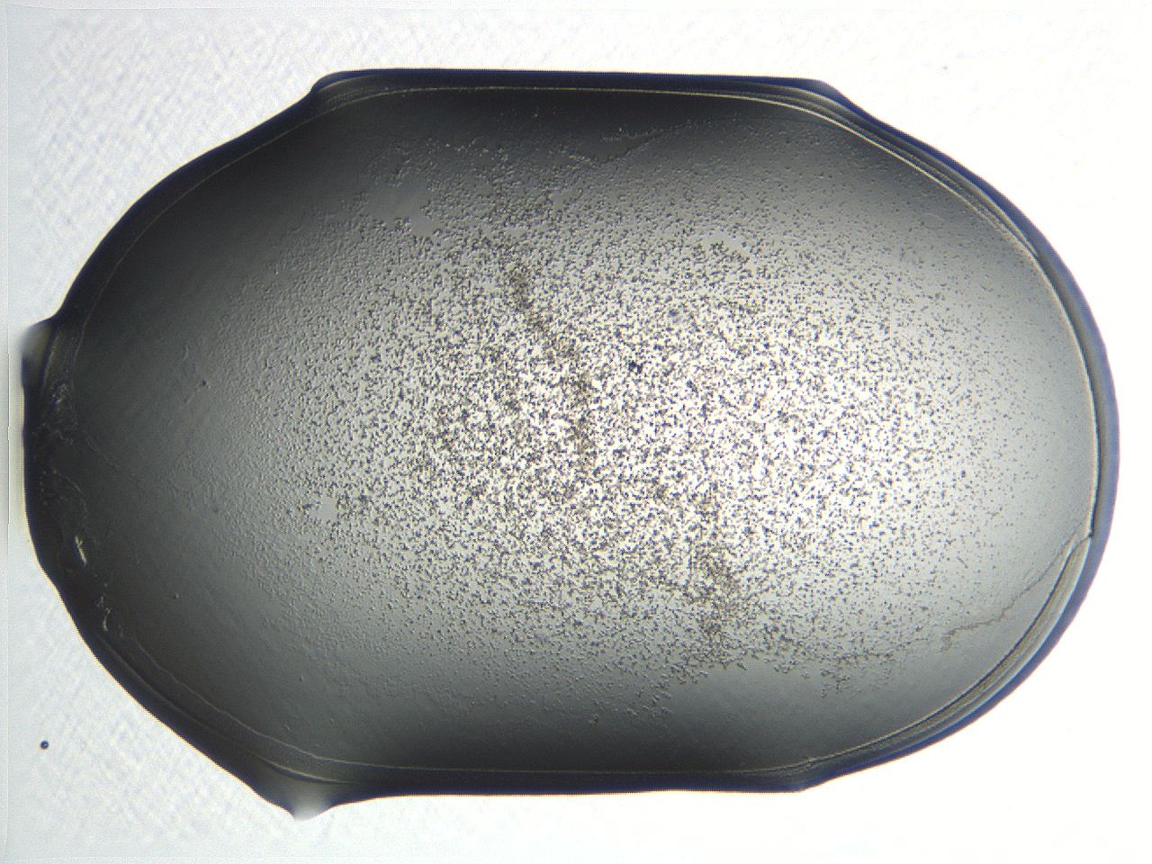 04nr_D11_ImagerDefaults_3.jpg