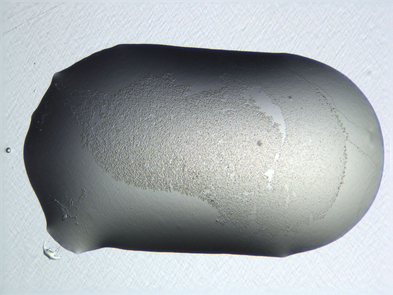 04nr_E8_ImagerDefaults_0.jpg