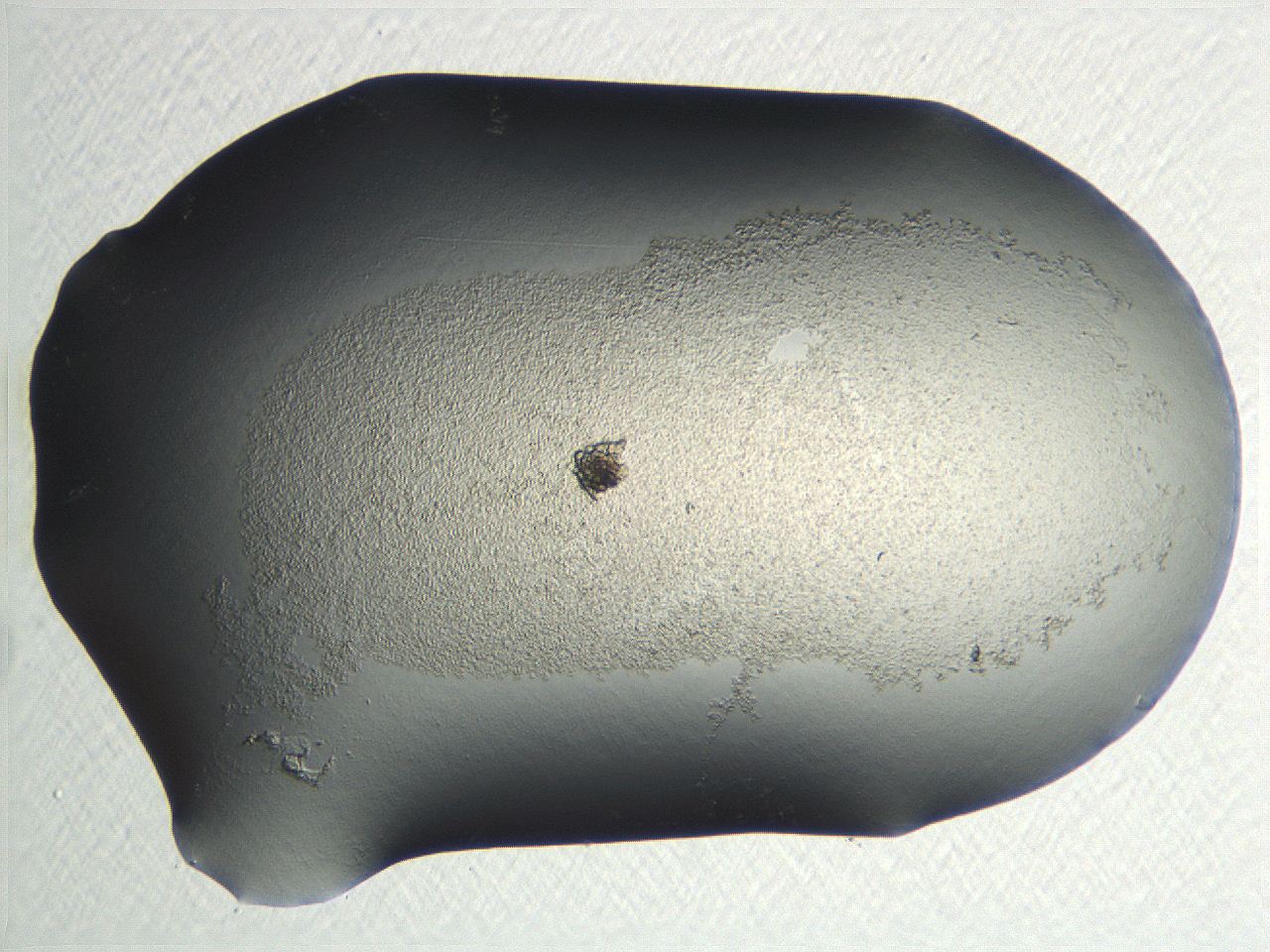 04nr_E11_ImagerDefaults_0.jpg
