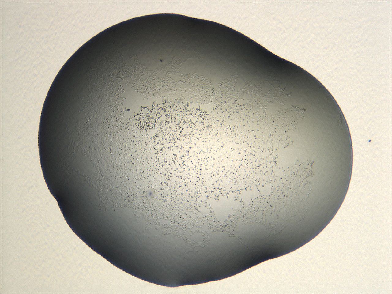 04nr_F3_ImagerDefaults_0.jpg