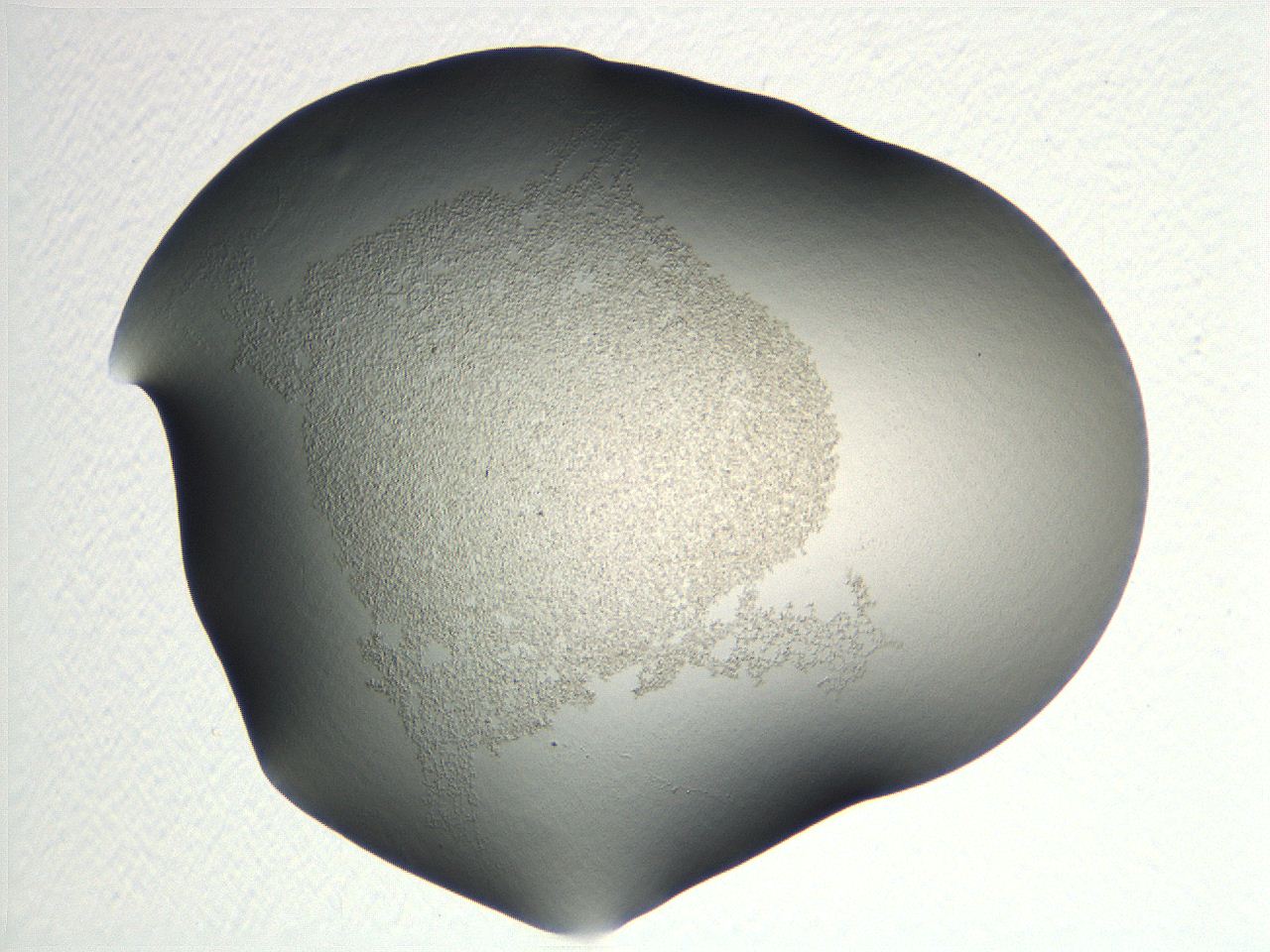 04nr_F4_ImagerDefaults_0.jpg