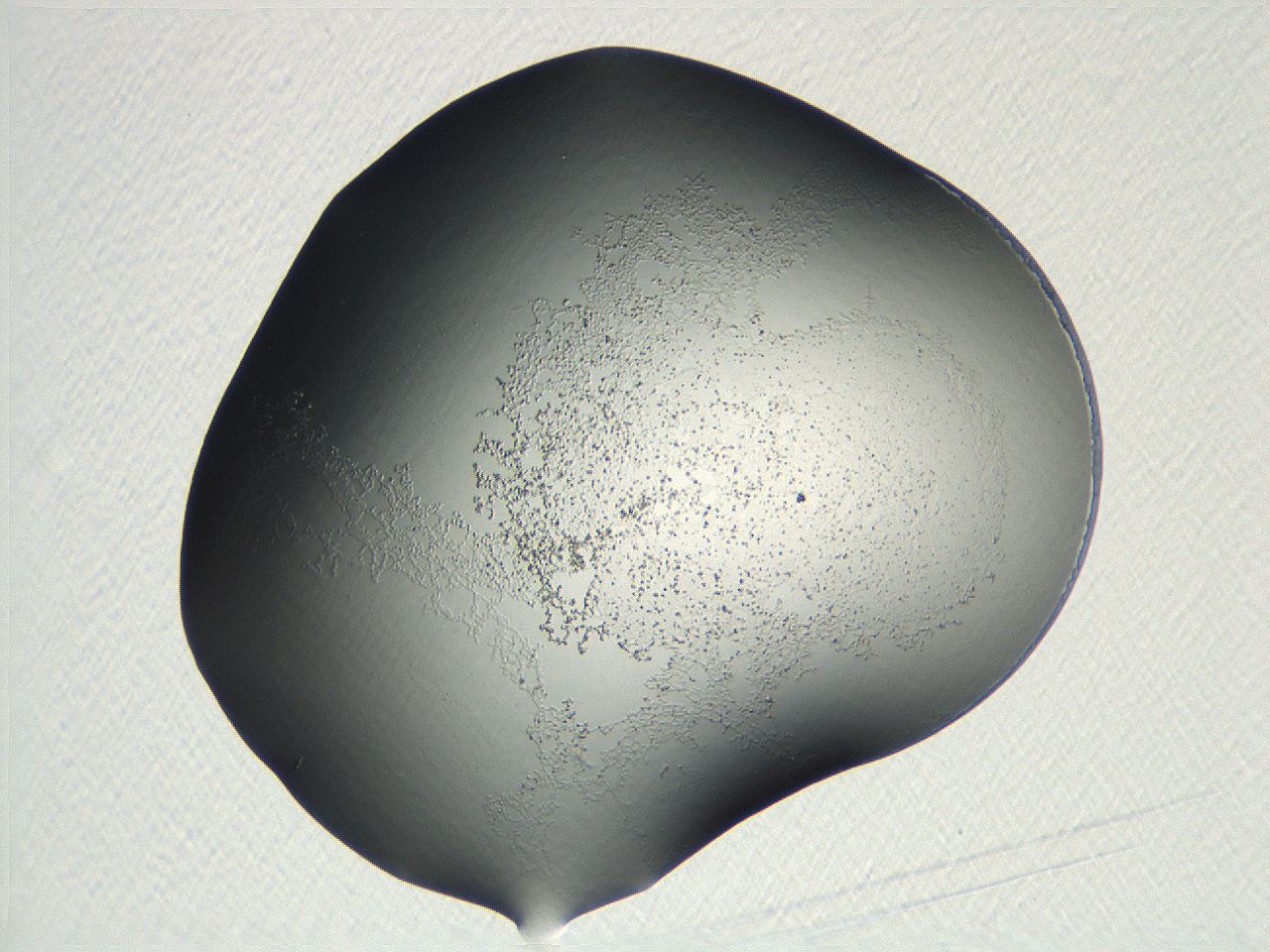 04nr_F5_ImagerDefaults_0.jpg
