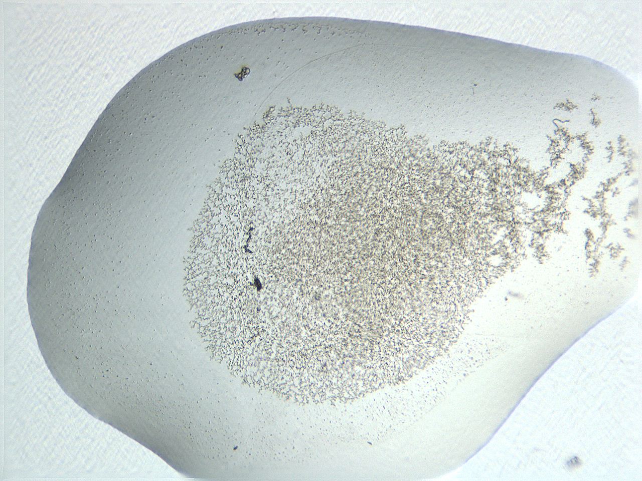 04nr_F10_ImagerDefaults_3.jpg