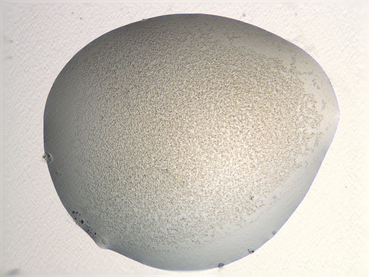 04nr_F11_ImagerDefaults_3.jpg