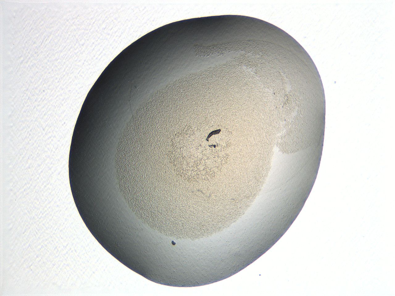 04nr_F12_ImagerDefaults_3.jpg
