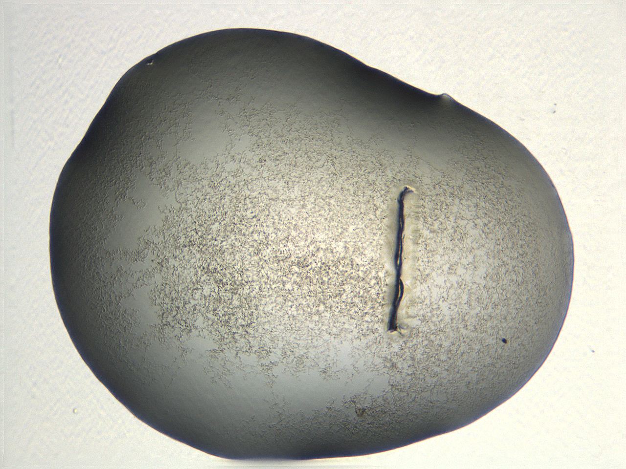04nr_G1_ImagerDefaults_3.jpg