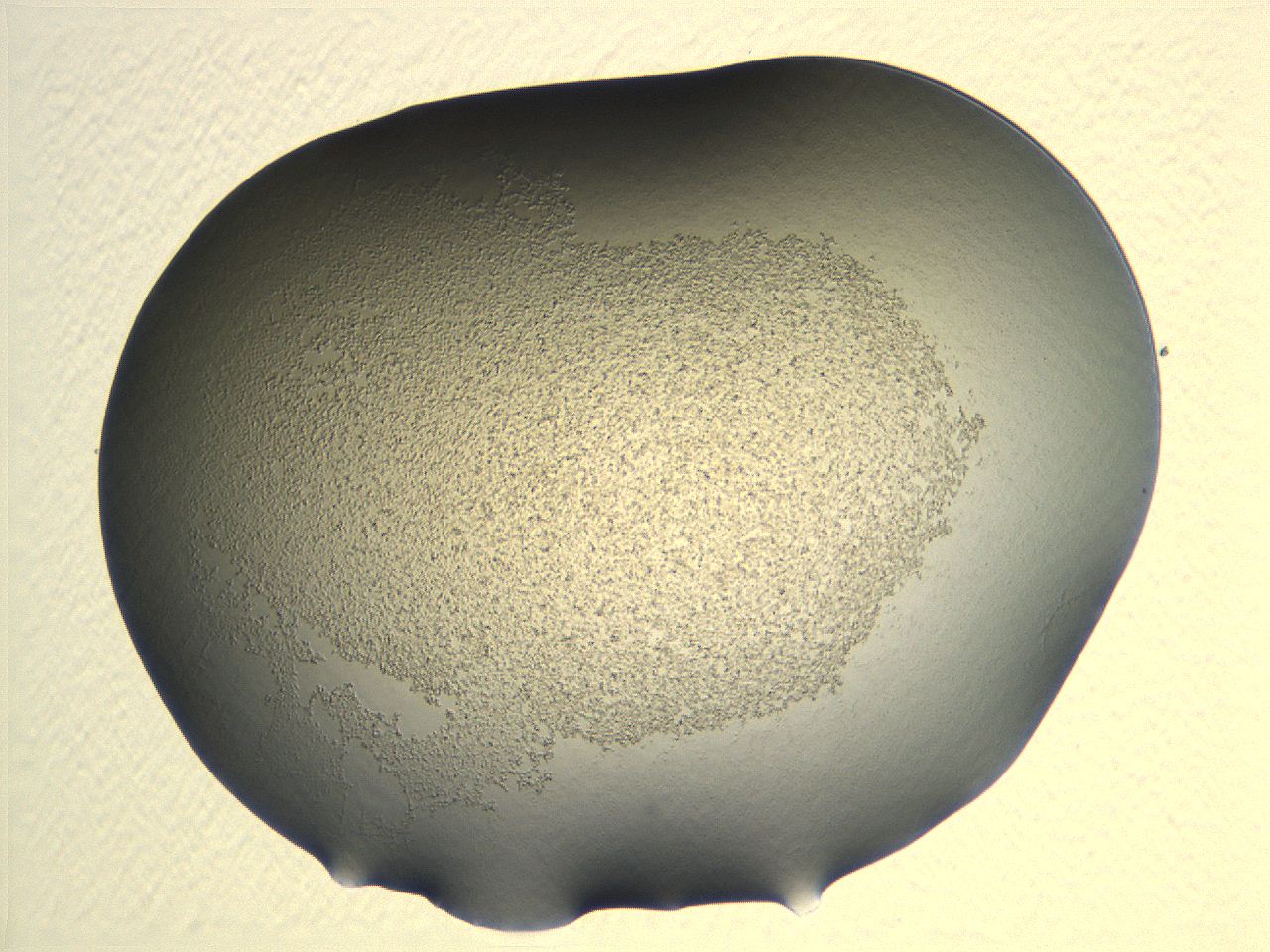 04nr_G2_ImagerDefaults_3.jpg