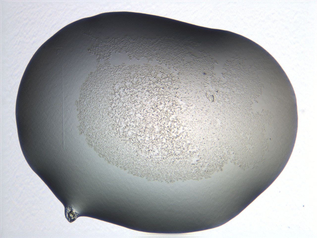 04nr_G3_ImagerDefaults_3.jpg