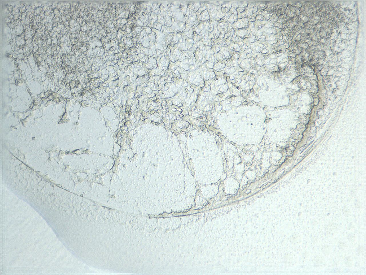04nr_G5_ImagerDefaults_3.jpg