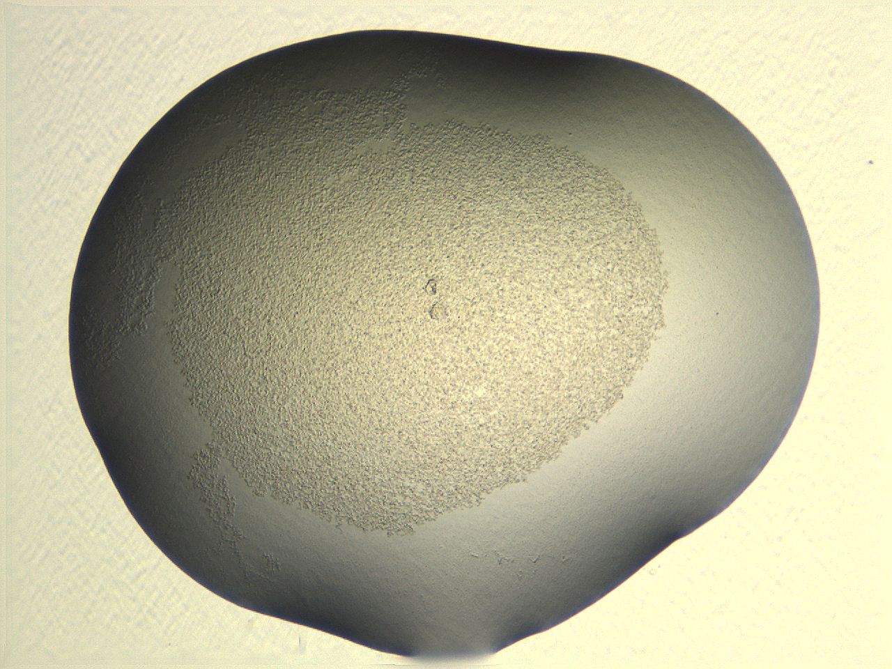 04nr_G6_ImagerDefaults_3.jpg