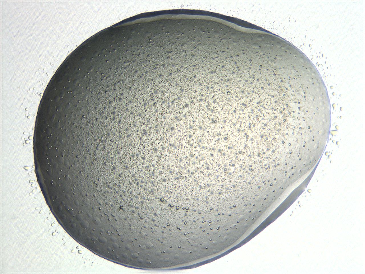 04nr_G8_ImagerDefaults_3.jpg