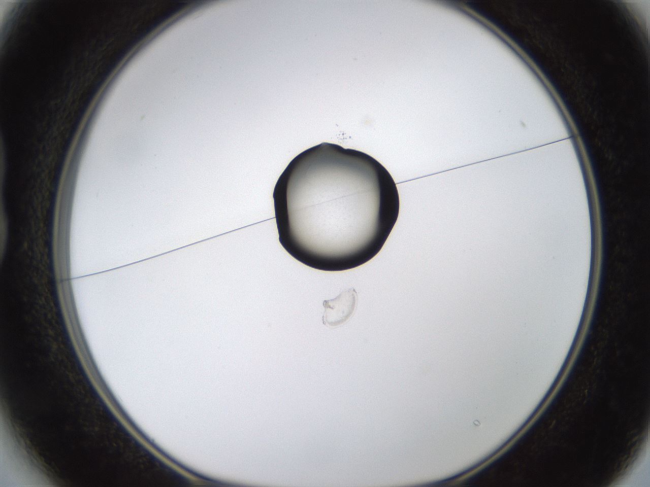 folderID744_plateID1744_batchID7235_wellNum13_profileID1_d1_r116082_ef.jpg