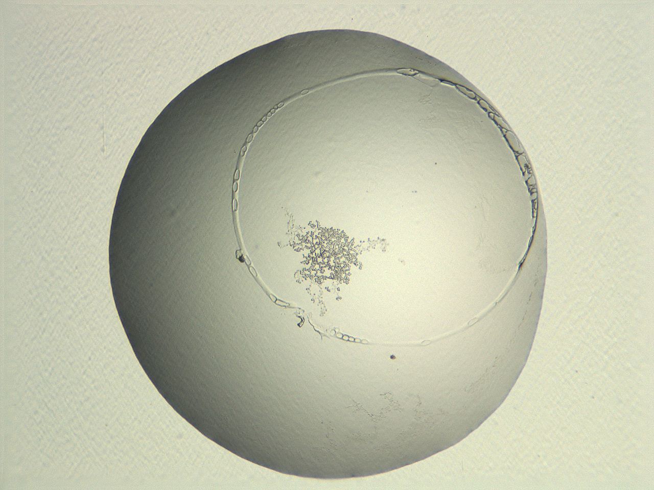 04nr_G10_ImagerDefaults_3.jpg