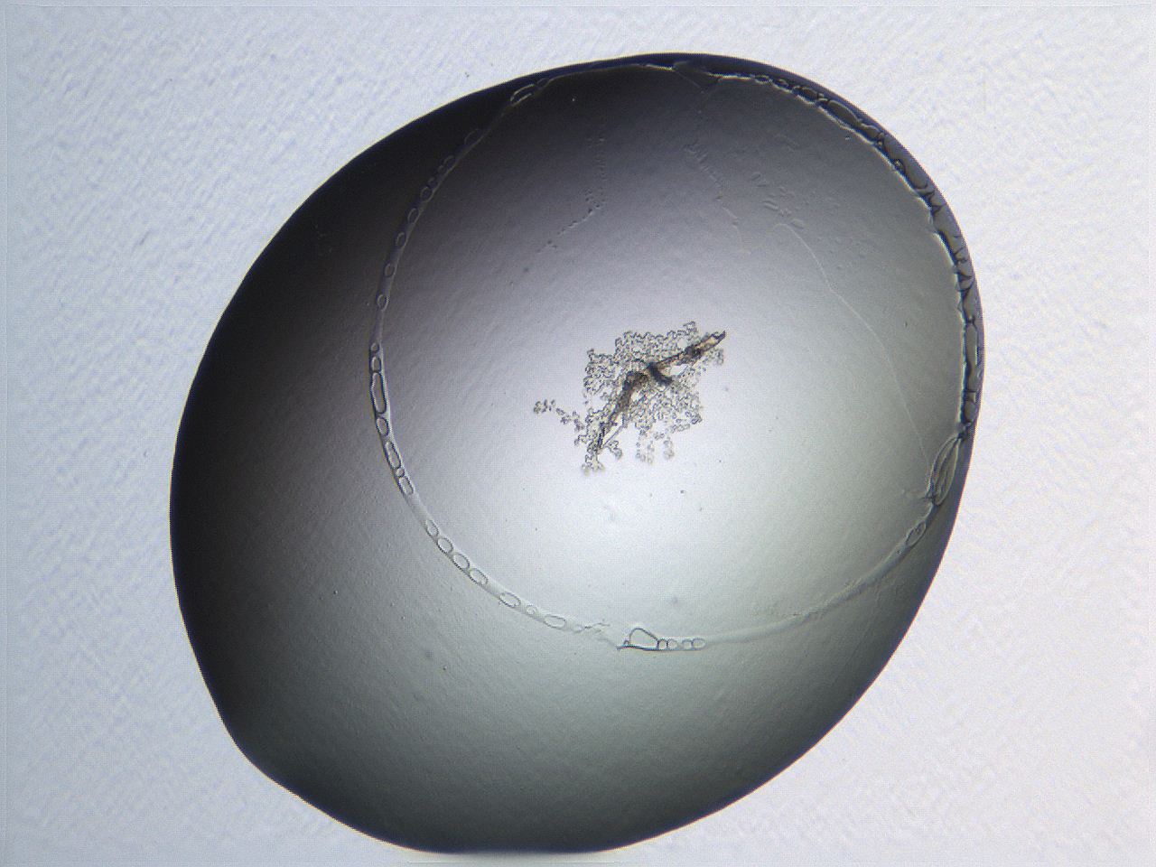 04nr_G11_ImagerDefaults_3.jpg