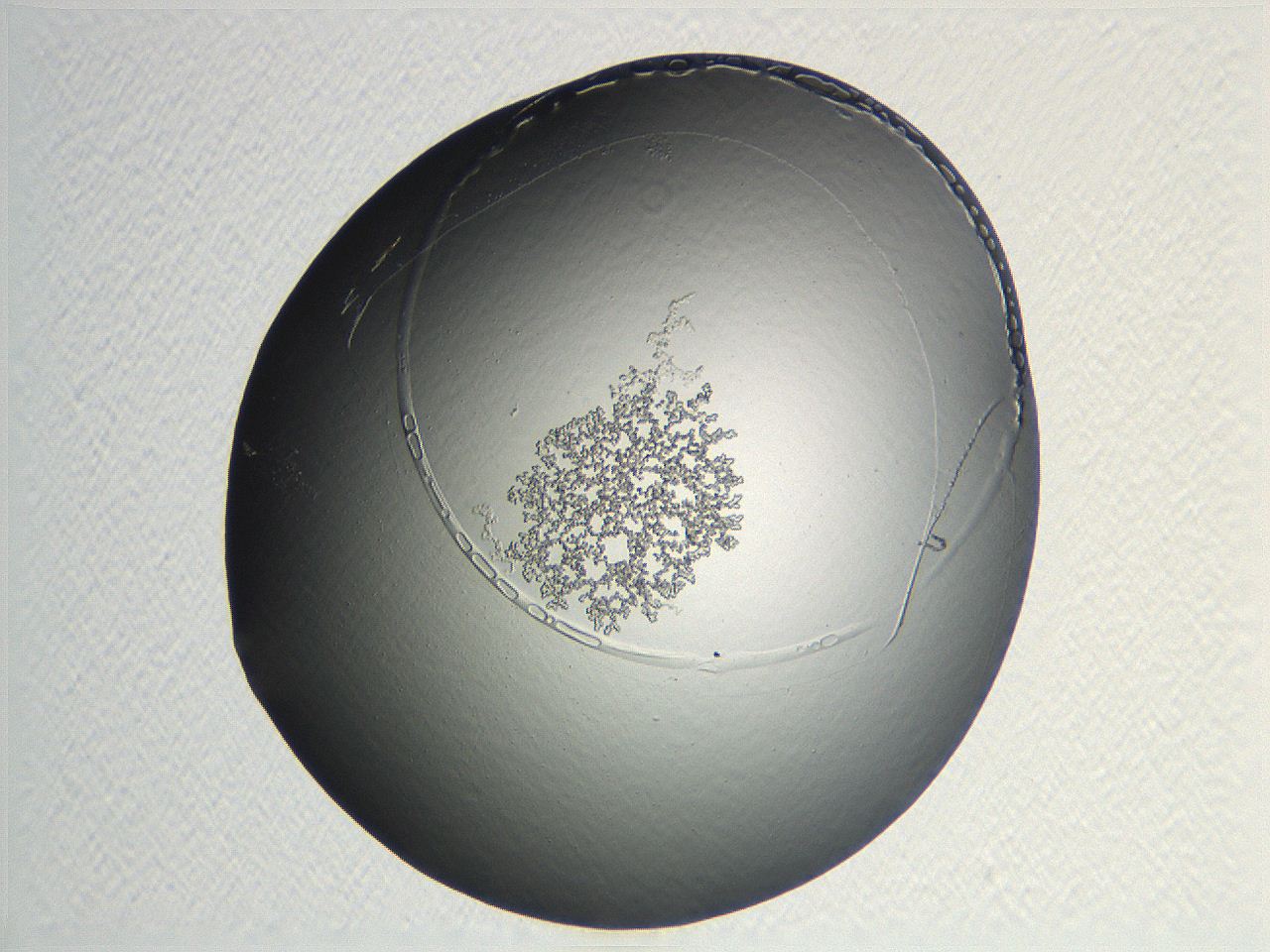 04nr_G12_ImagerDefaults_3.jpg