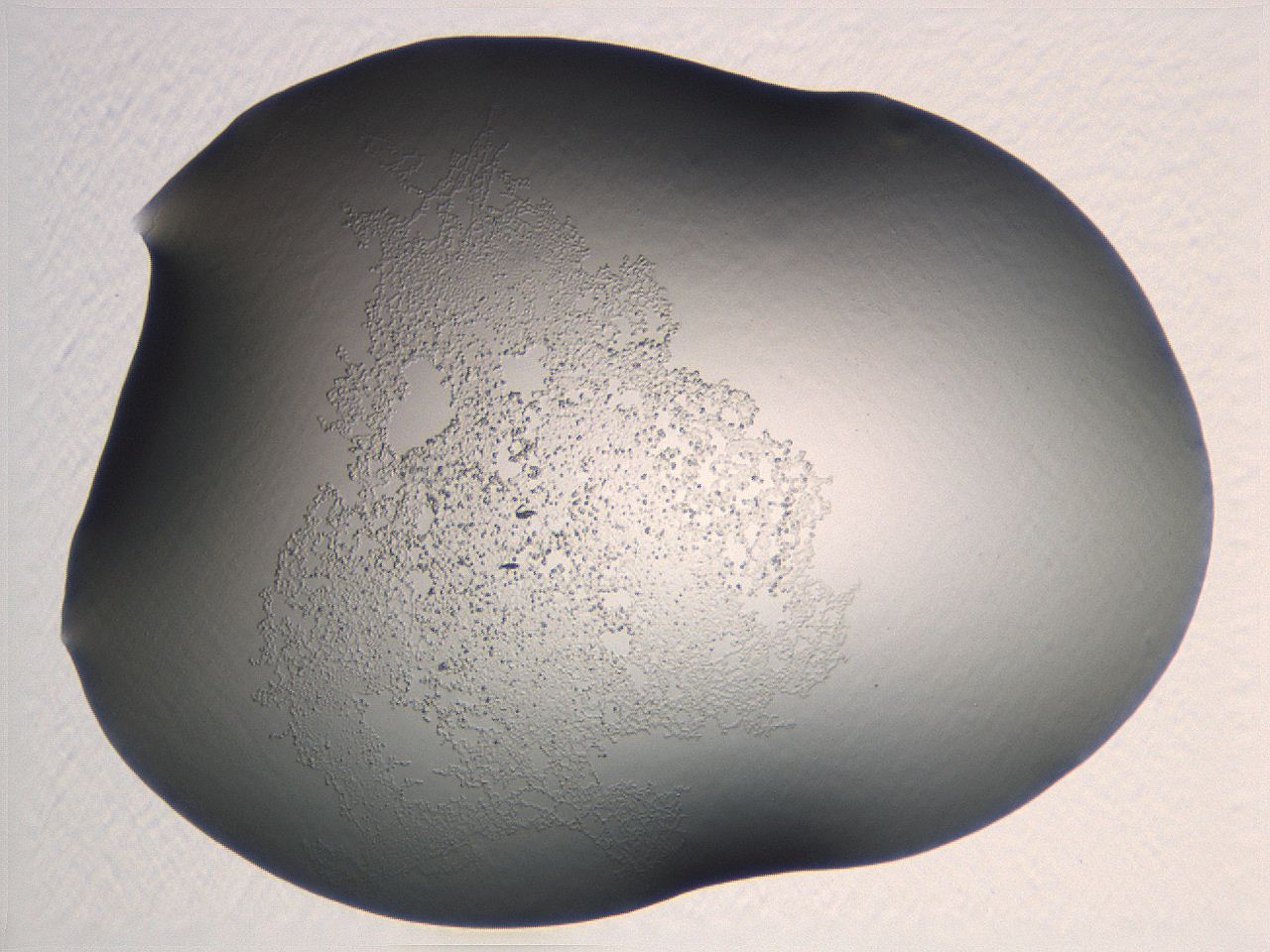 04nr_H2_ImagerDefaults_3.jpg