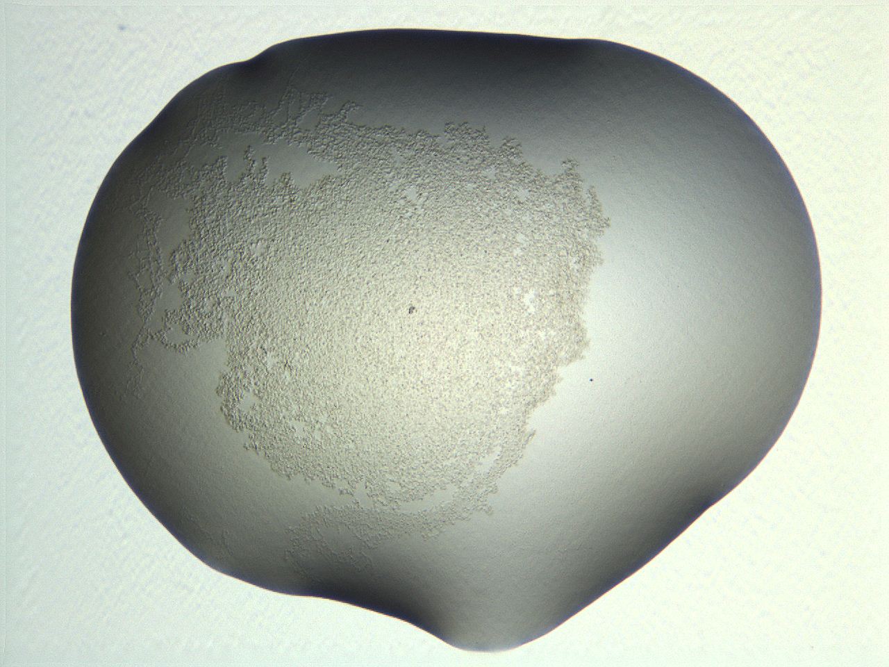 04nr_H3_ImagerDefaults_0.jpg