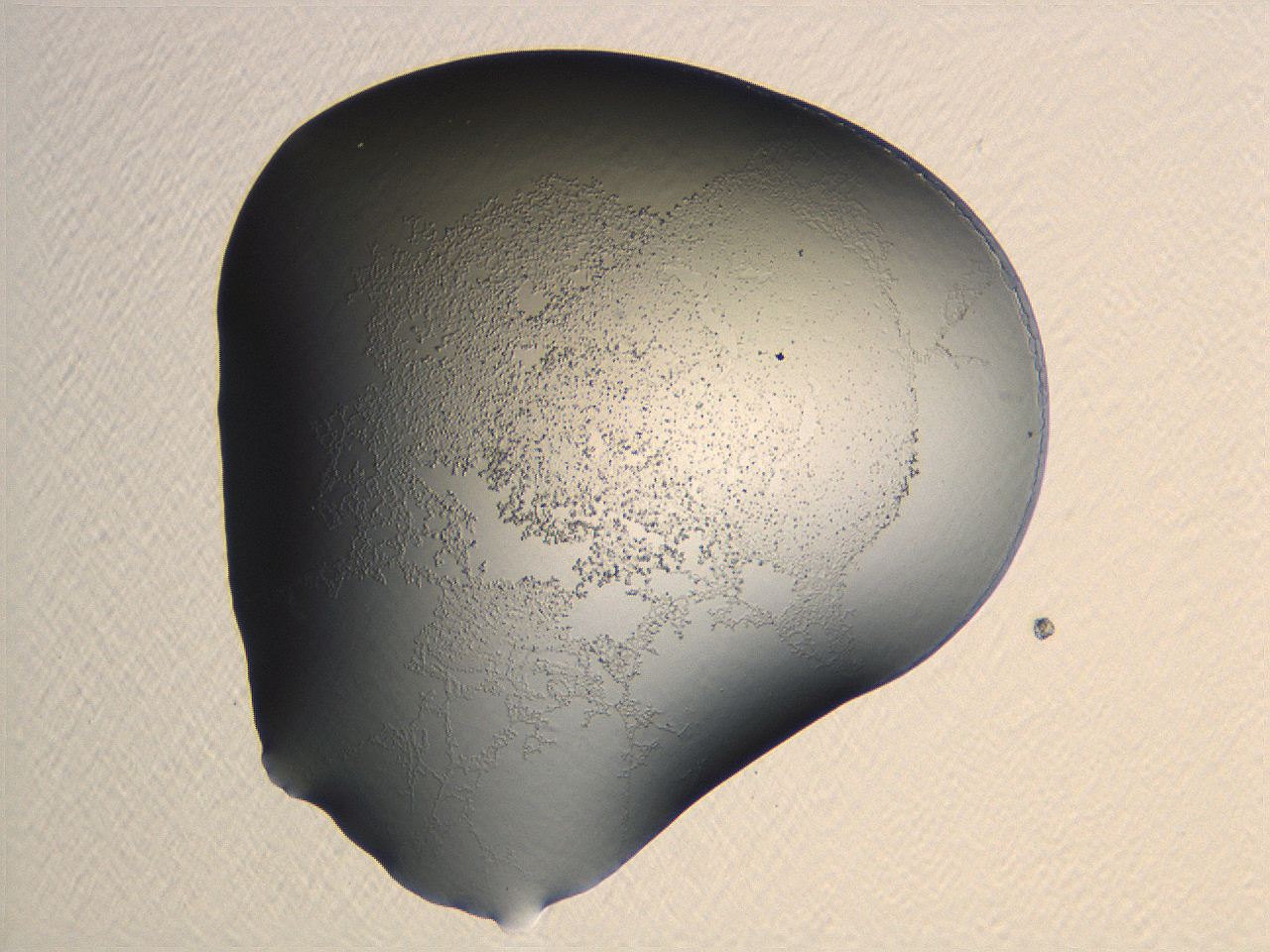 04nr_H6_ImagerDefaults_3.jpg