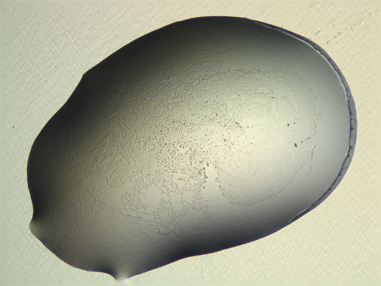 04nr_H7_ImagerDefaults_3.jpg