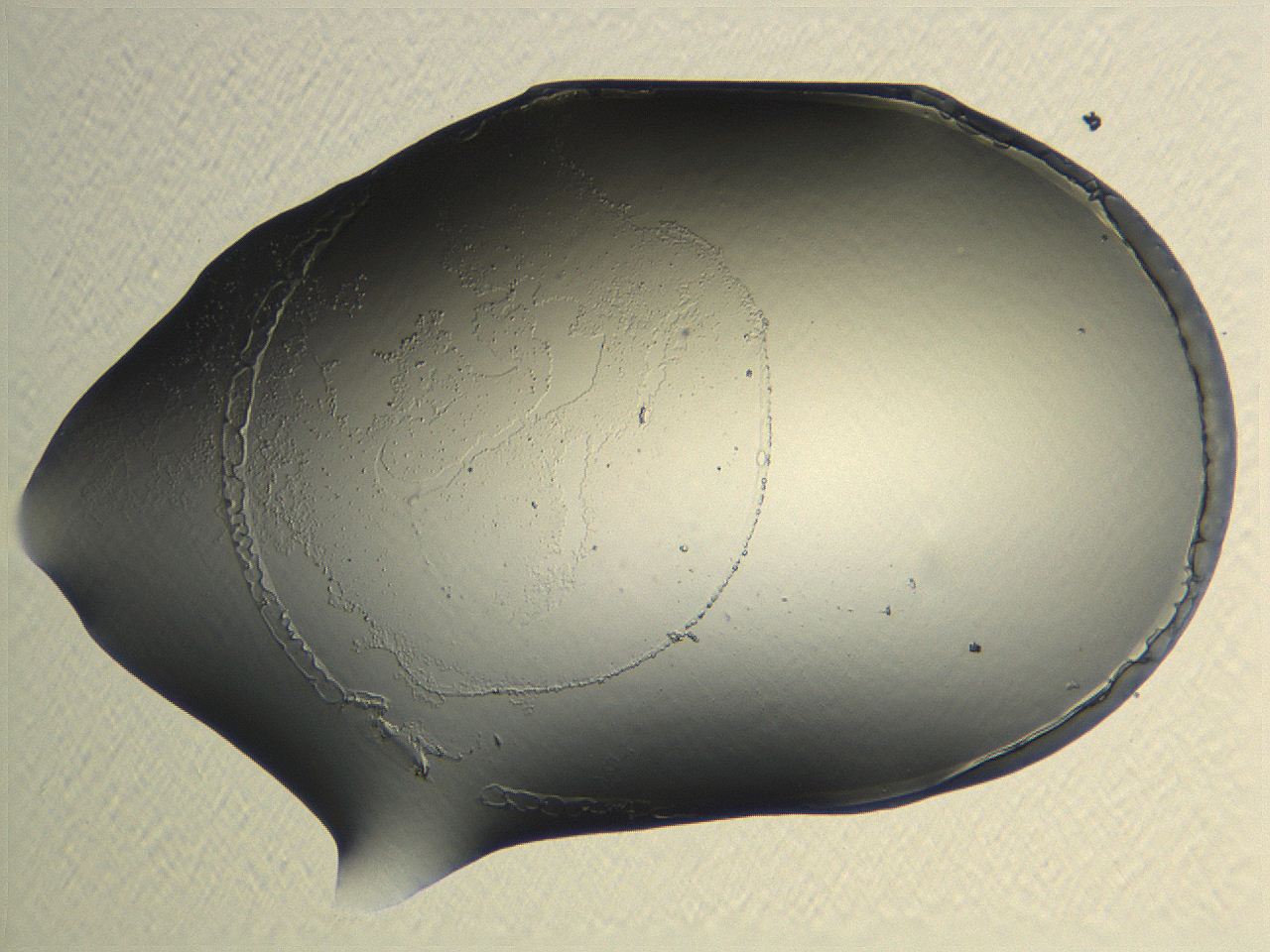 04nr_H10_ImagerDefaults_0.jpg