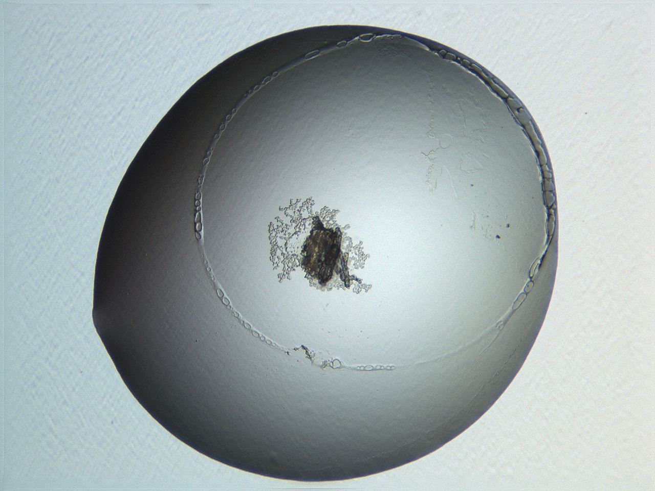 04nr_H11_ImagerDefaults_3.jpg