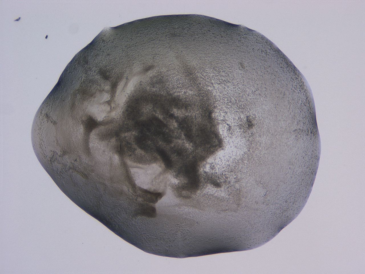 04nu_B12_ImagerDefaults_3.jpg
