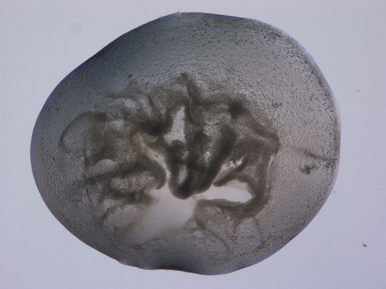 04nu_B11_ImagerDefaults_3.jpg