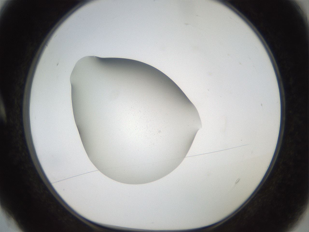 folderID767_plateID1767_batchID7480_wellNum4_profileID1_d1_r117830_ef.jpg