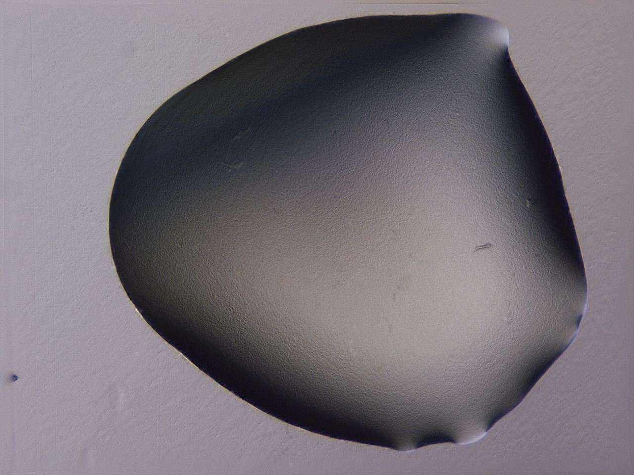 04nu_A5_ImagerDefaults_0.jpg