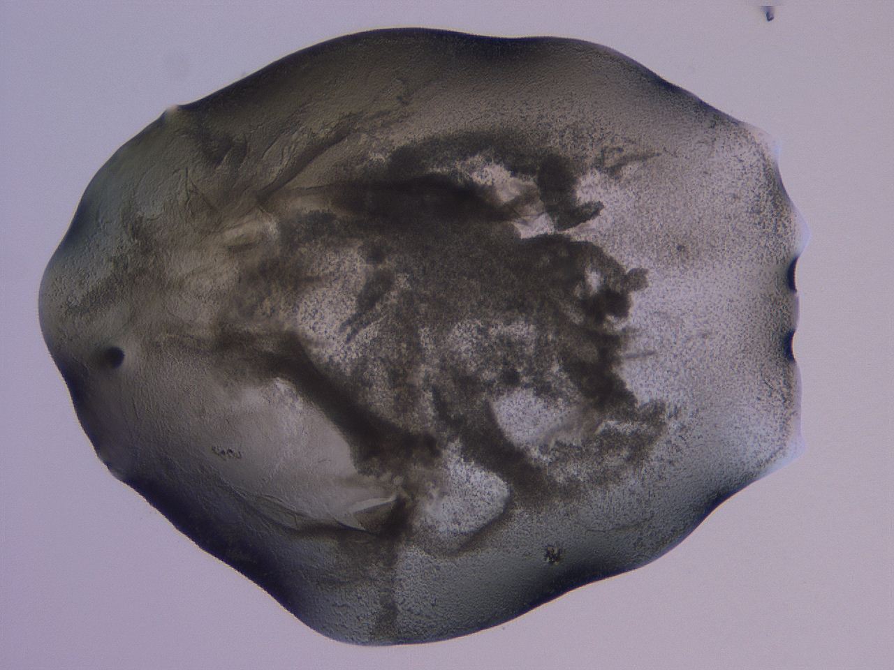 04nu_C2_ImagerDefaults_3.jpg
