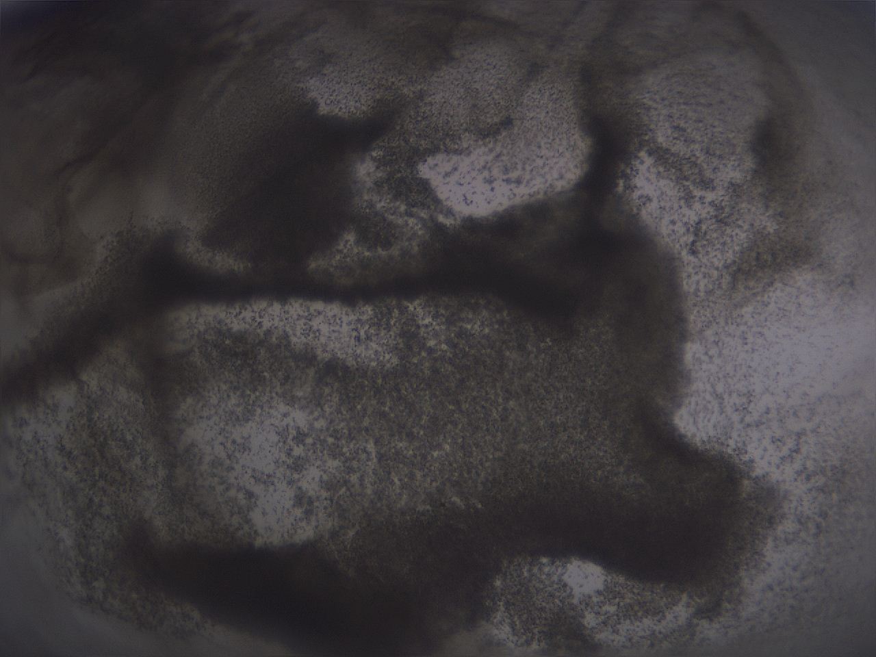 04nu_C5_ImagerDefaults_3.jpg