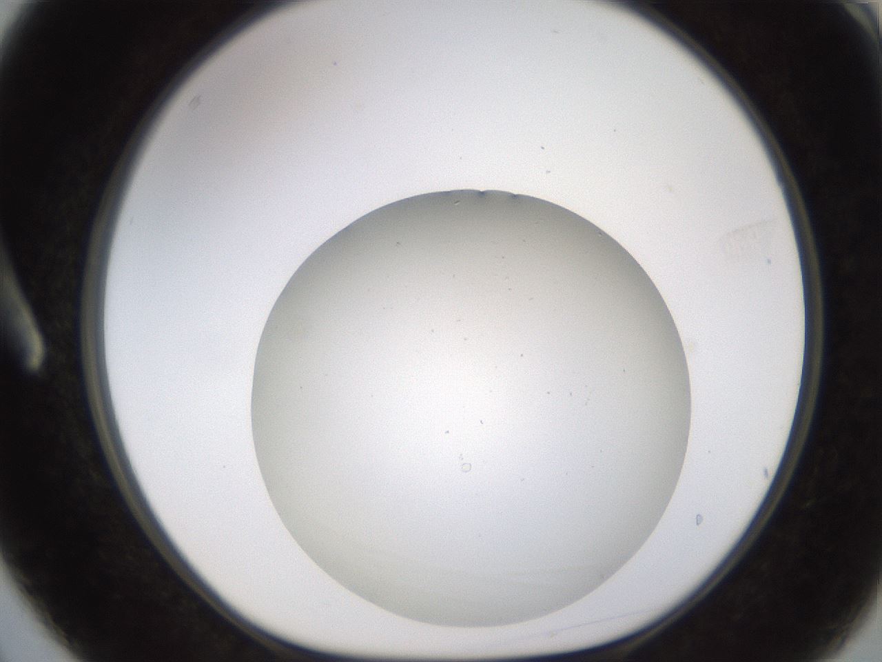 folderID782_plateID2782_batchID14651_wellNum3_profileID1_d1_r228166_ef.jpg