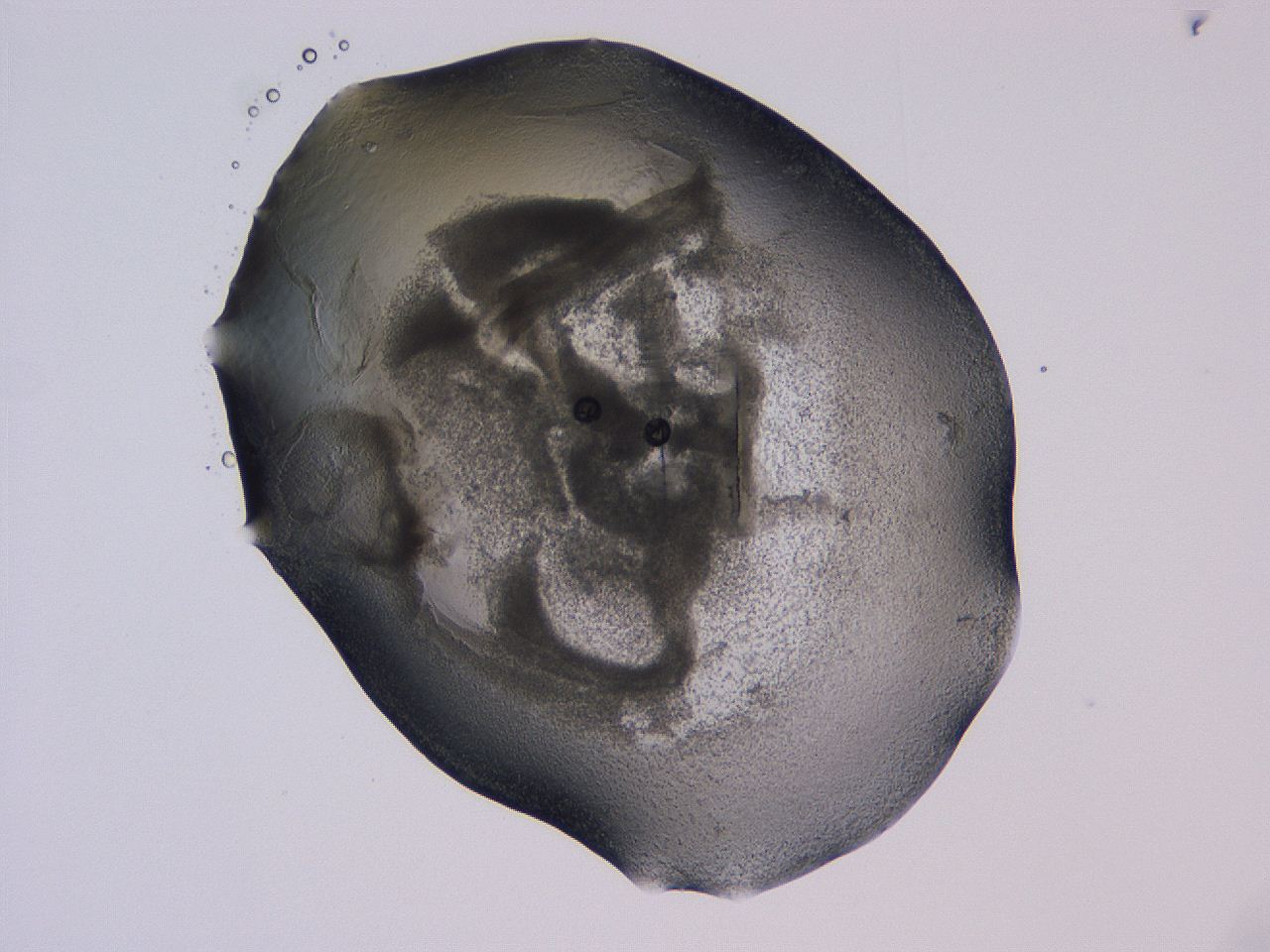 04nu_D7_ImagerDefaults_3.jpg