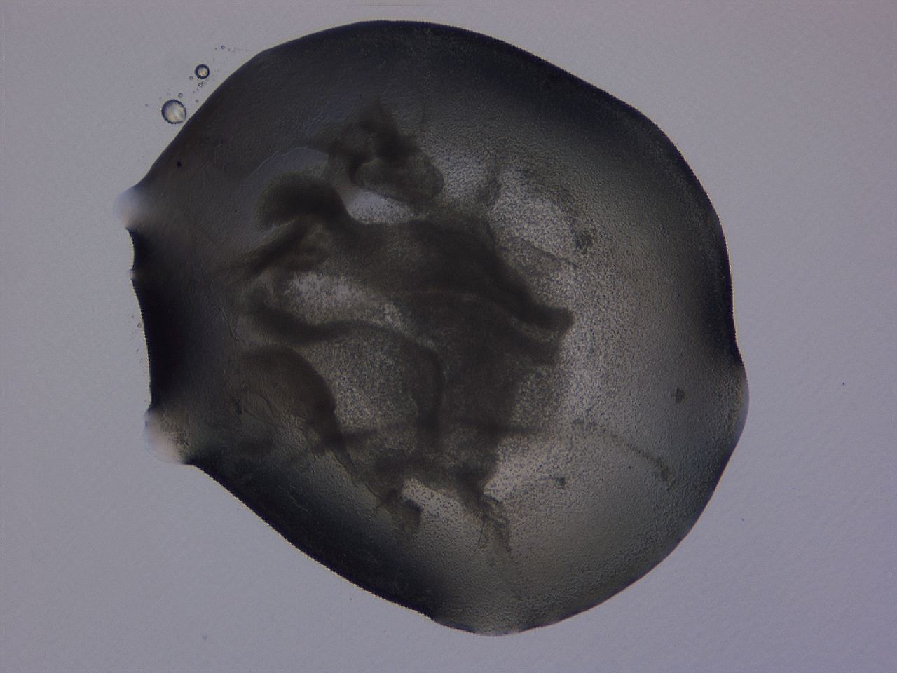 04nu_D8_ImagerDefaults_3.jpg