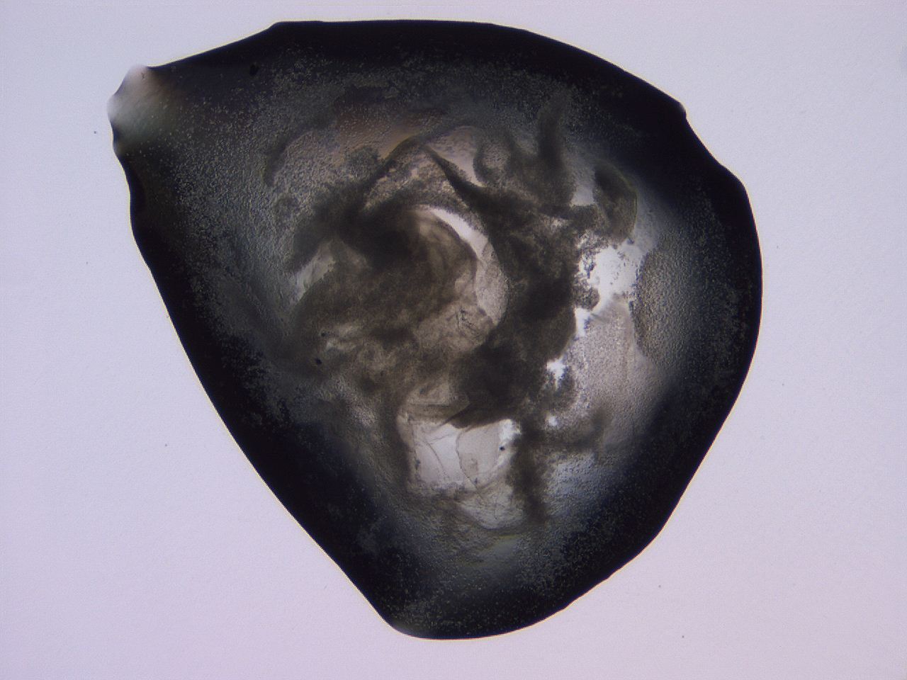 04nu_D10_ImagerDefaults_3.jpg