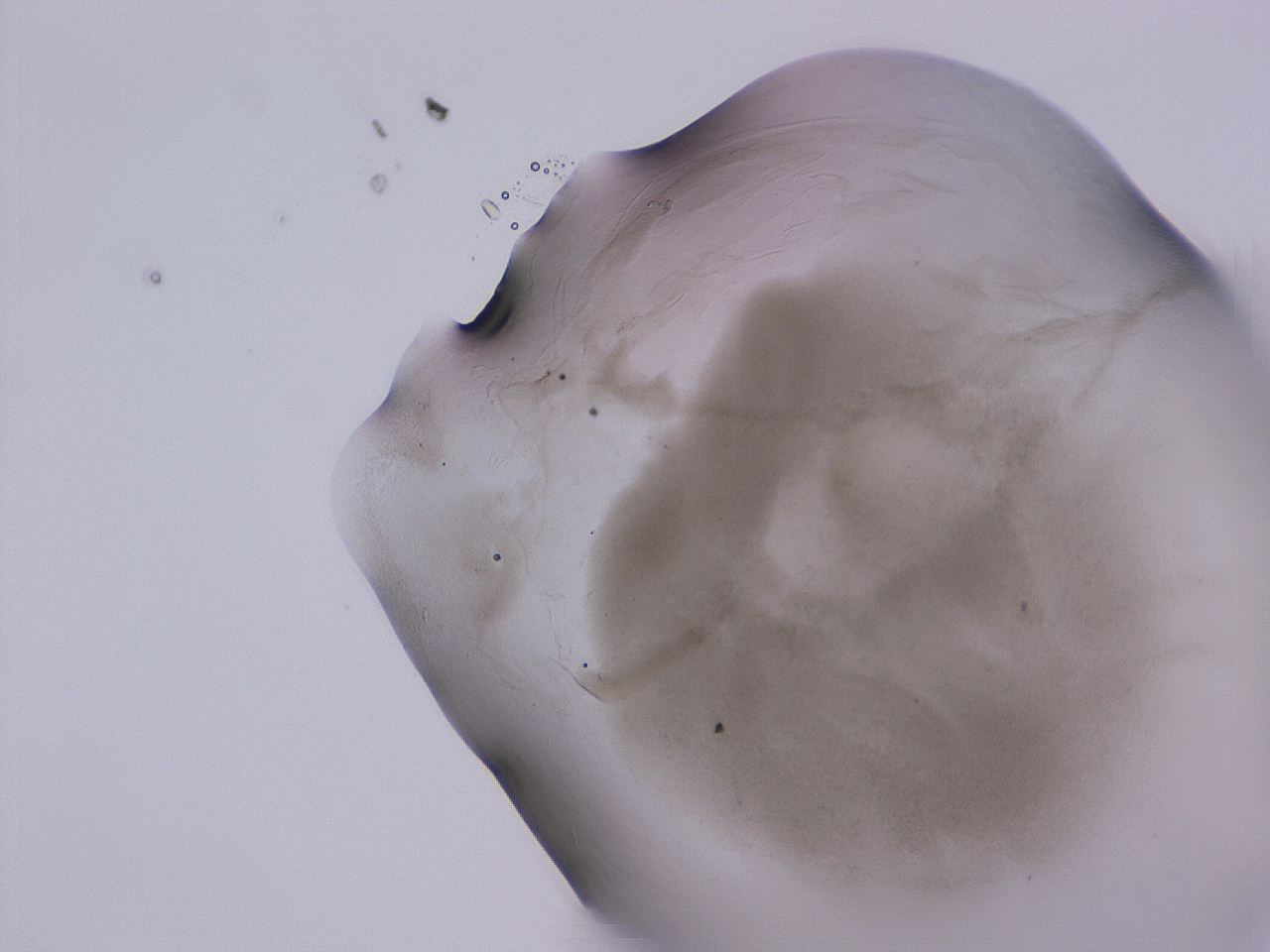 04nu_D11_ImagerDefaults_3.jpg