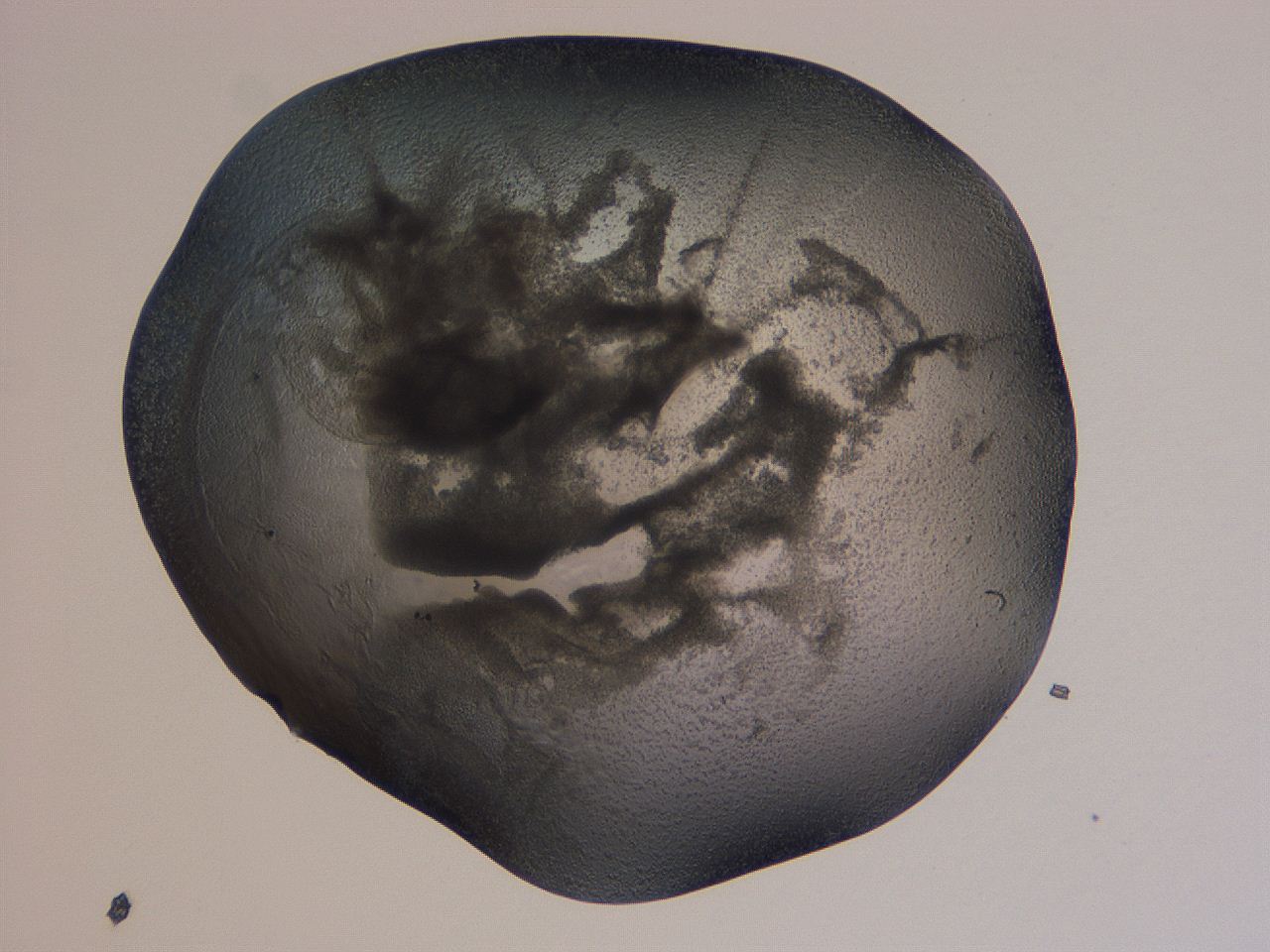 04nu_B2_ImagerDefaults_3.jpg