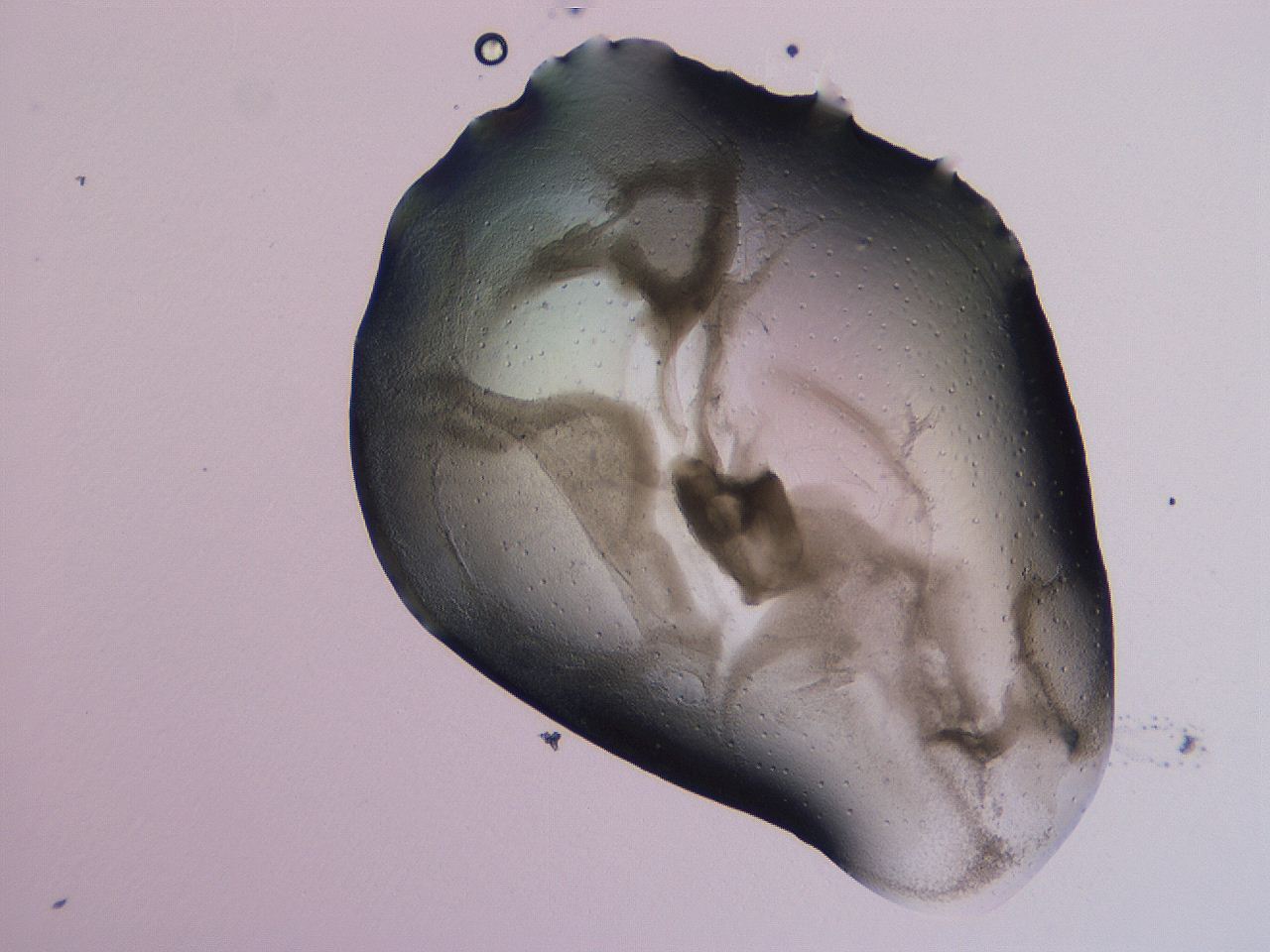 04nu_F11_ImagerDefaults_3.jpg