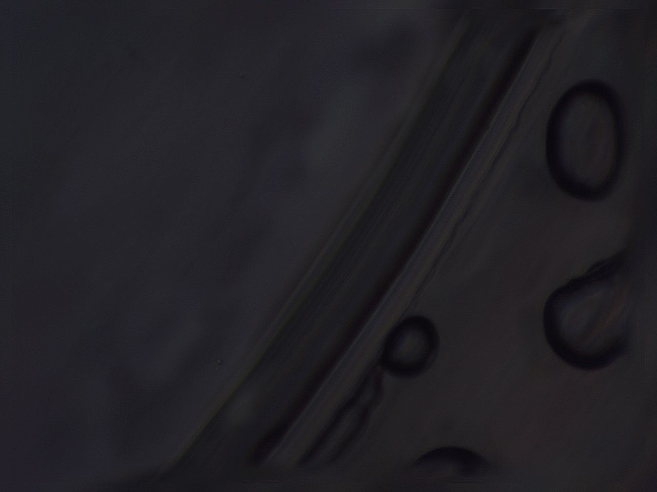 04nu_F12_ImagerDefaults_3.jpg