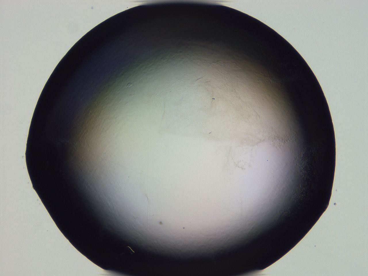 04nu_G10_ImagerDefaults_0.jpg