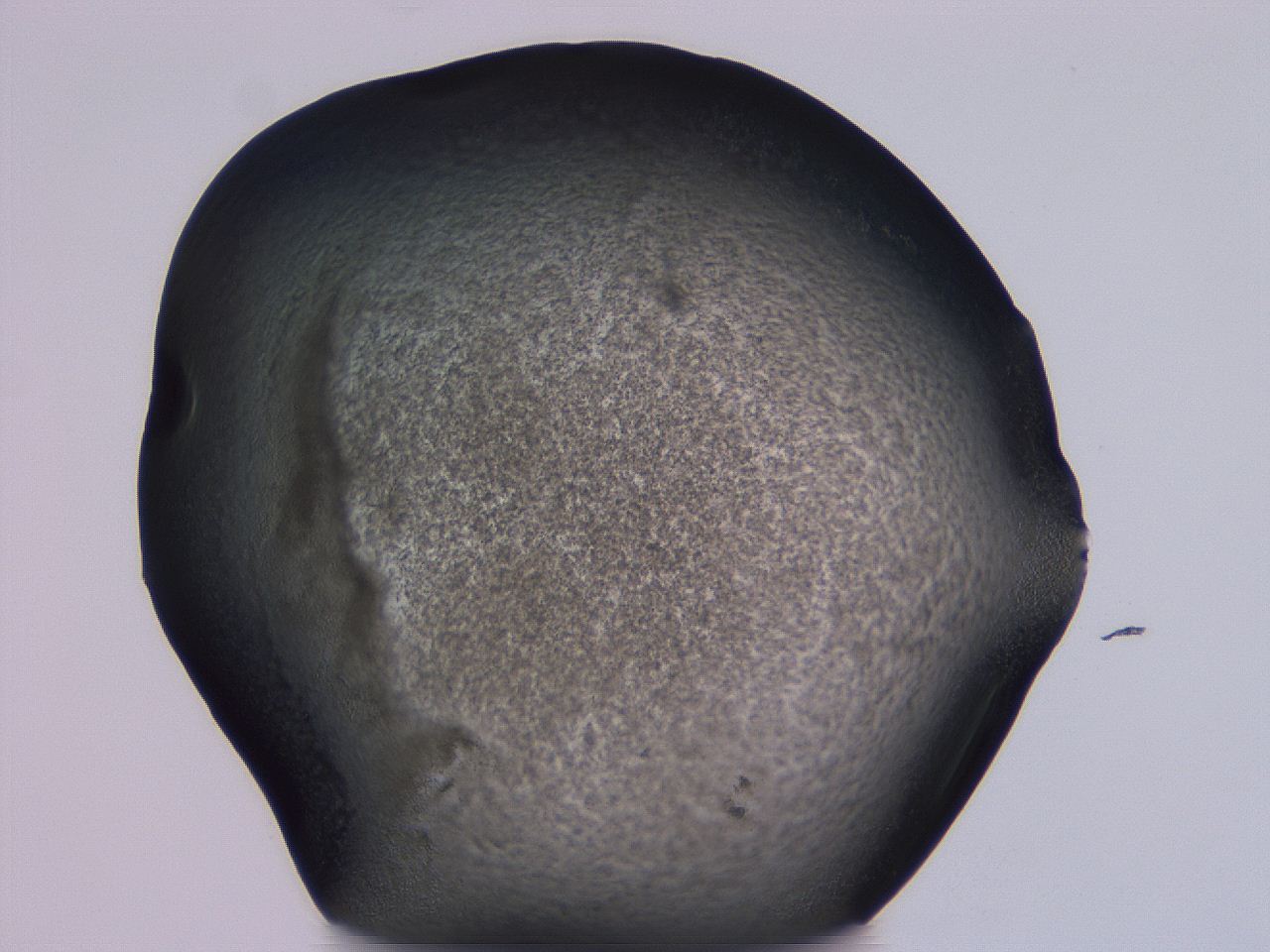 04nu_G12_ImagerDefaults_3.jpg