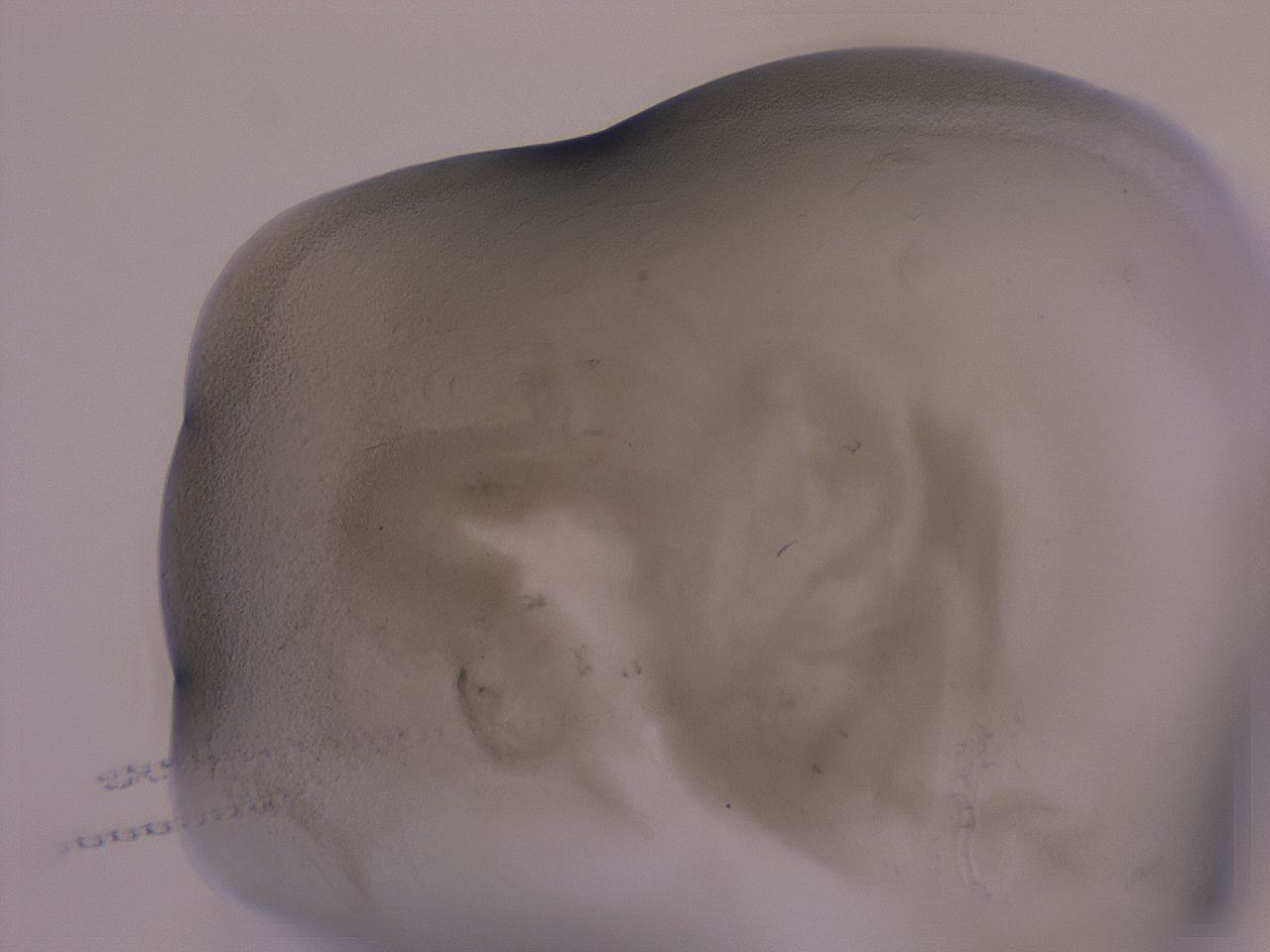 04nu_H6_ImagerDefaults_3.jpg