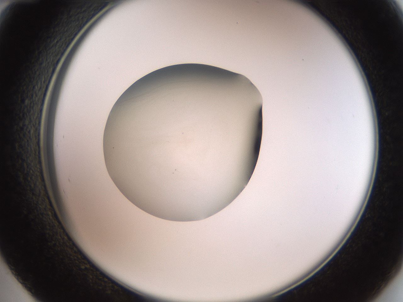 folderID830_plateID1830_batchID7620_wellNum48_profileID1_d2_r122369_ef.jpg