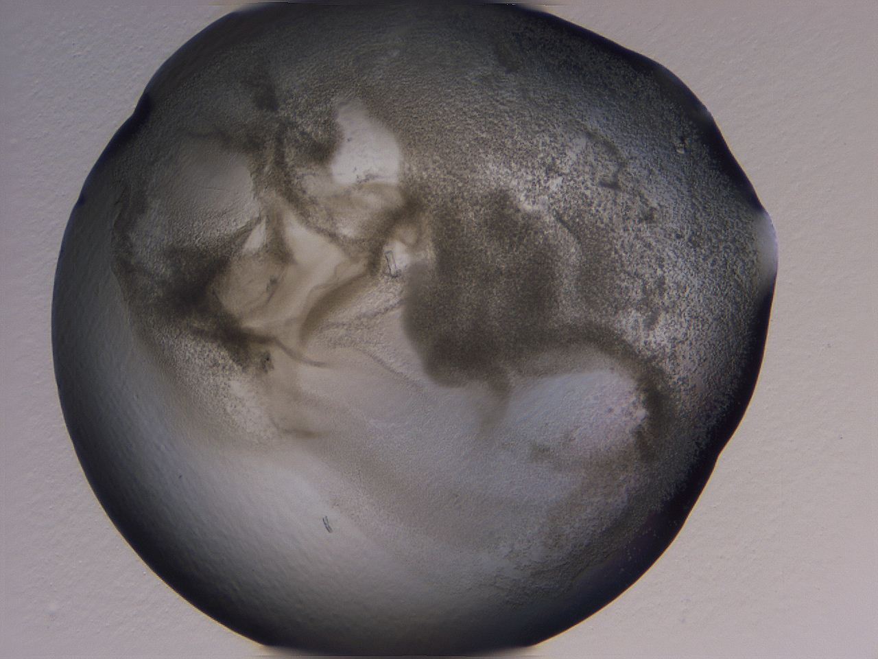 04nu_H12_ImagerDefaults_3.jpg