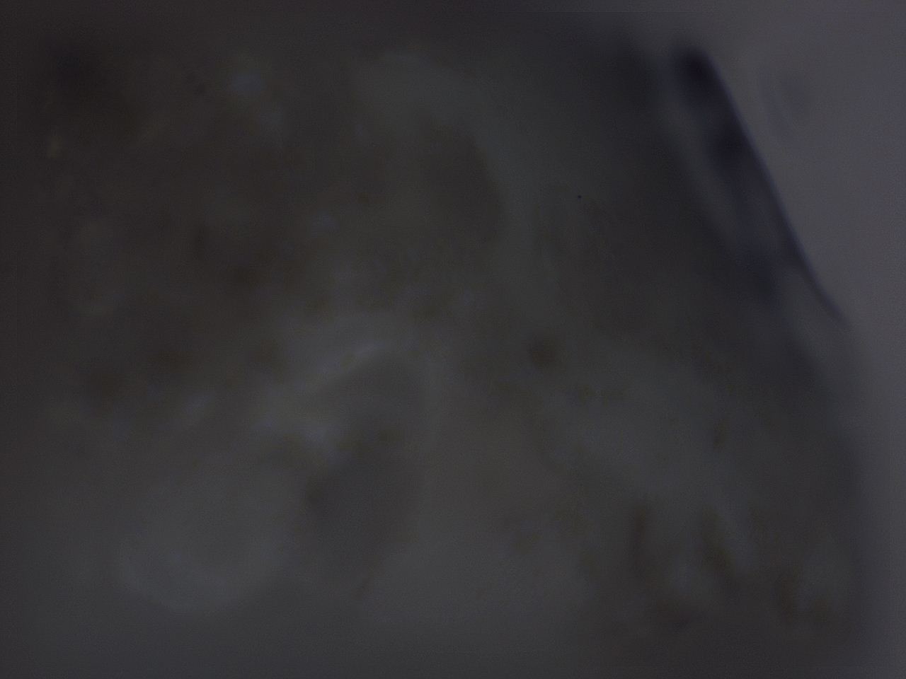 04nv_D8_ImagerDefaults_3.jpg