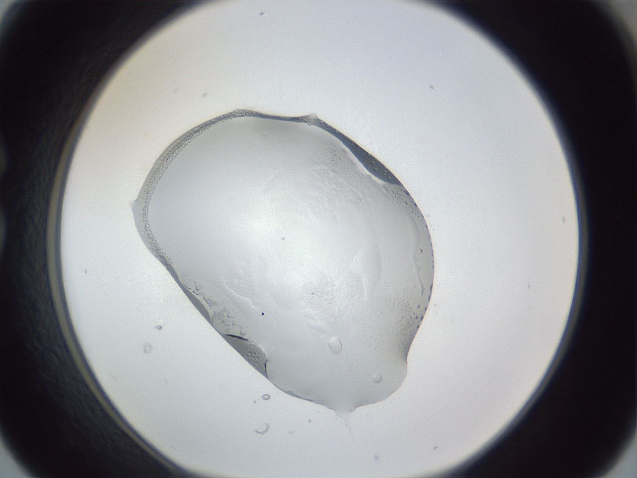 folderID83_plateID1083_batchID3146_wellNum30_profileID1_d1_r49391_ef.jpg