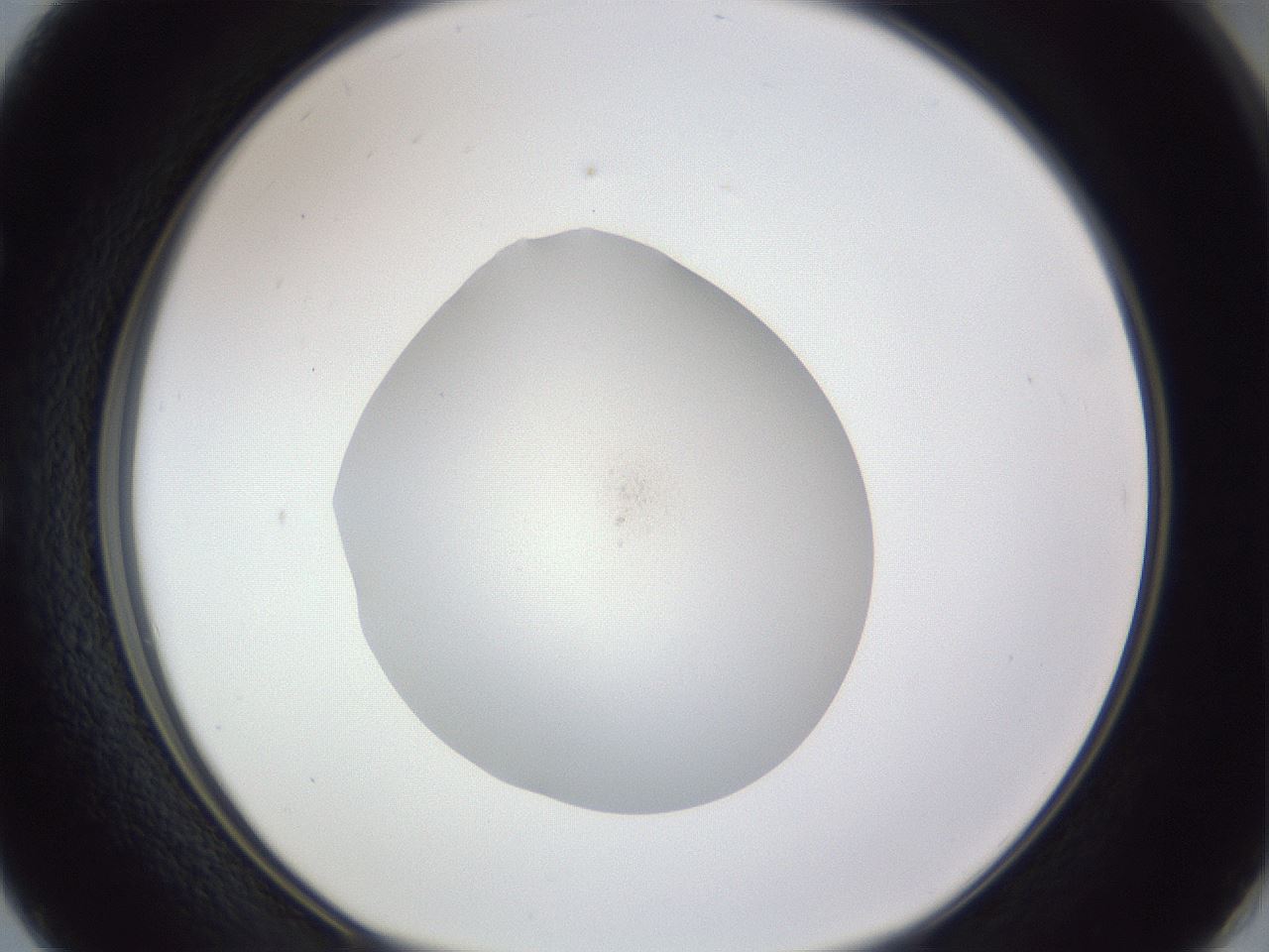 folderID841_plateID1841_batchID8083_wellNum50_profileID1_d1_r125760_ef.jpg