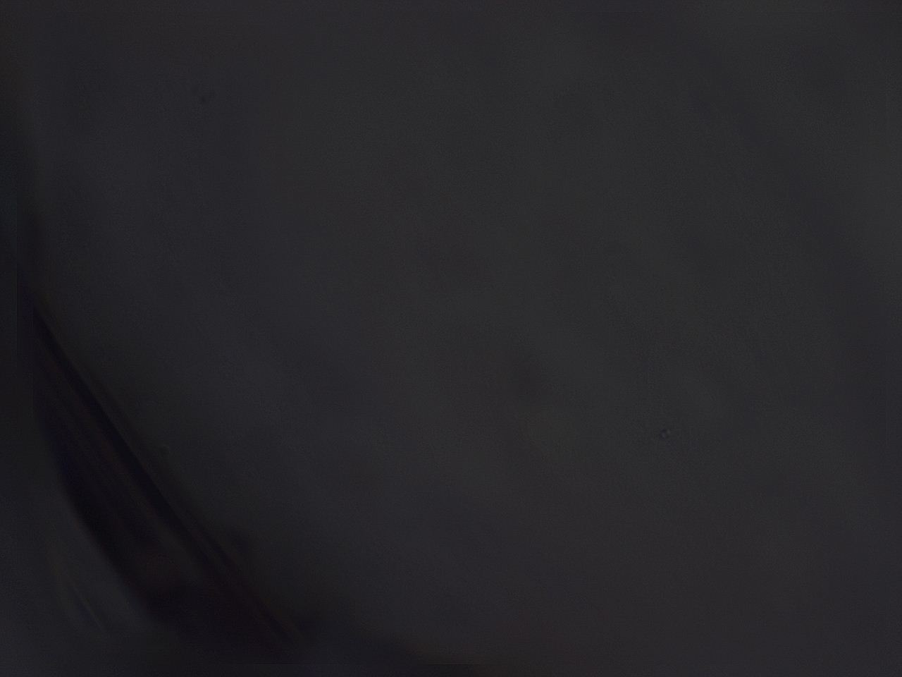 04nv_D5_ImagerDefaults_3.jpg
